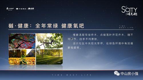 深圳文哥最新的爆料新闻,最新劲爆新闻揭秘  第3张 深圳文哥最新的爆料新闻,最新劲爆新闻揭秘  第3张