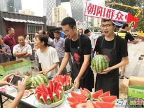 朝阳免费吃瓜网,揭秘都市生活趣味圈,畅享免费美食盛宴  第2张 朝阳免费吃瓜网,揭秘都市生活趣味圈,畅享免费美食盛宴  第2张