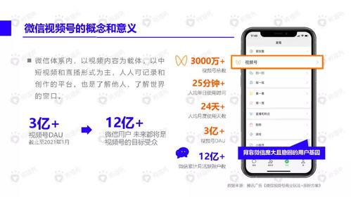 过年网友爆料视频下载安装,过年视频下载安装全过程揭秘  第3张 过年网友爆料视频下载安装,过年视频下载安装全过程揭秘  第3张