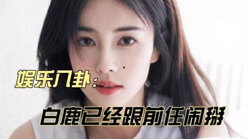 娱乐八卦最新爆料白鹿热,娱乐圈新晋女神白鹿,热度飙升背后的秘密