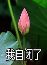 莲花一生最新爆料是真的吗,真相揭秘,是真是假引热议  第1张 莲花一生最新爆料是真的吗,真相揭秘,是真是假引热议  第1张