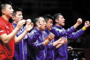 国乒爆料田亮视频在线观看,精彩瞬间在线观看  第3张 国乒爆料田亮视频在线观看,精彩瞬间在线观看  第3张