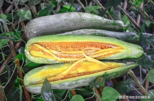 西藏网红吃瓜入口,入口瞬间引发全网热议!