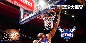 黄蜂爆料乔丹视频大全下载,重温篮球传奇时刻  第2张 黄蜂爆料乔丹视频大全下载,重温篮球传奇时刻  第2张